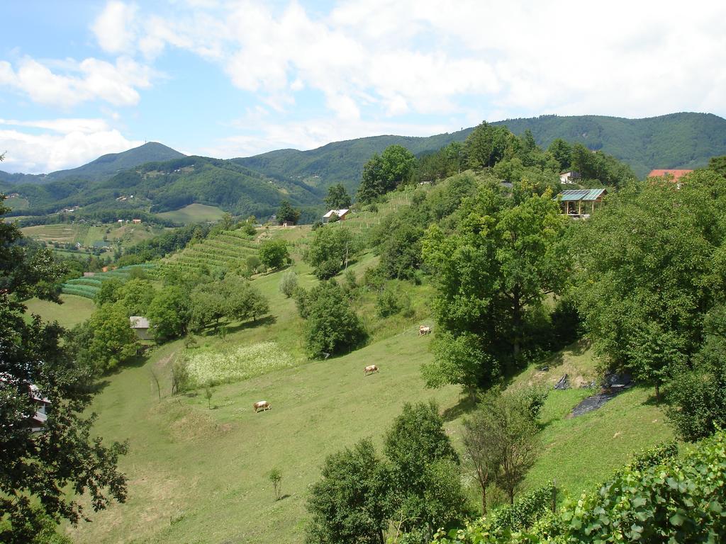 Hisa Korazija Daire Rogaška Slatina Dış mekan fotoğraf