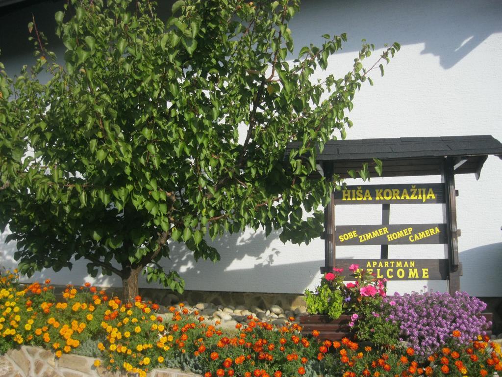 Hisa Korazija Daire Rogaška Slatina Dış mekan fotoğraf